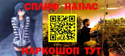 прущий лед Будённовск