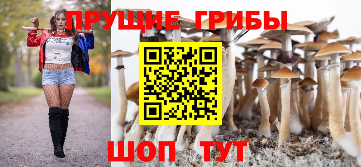 Новочебоксарск  Галлюциногенные грибы мицелий  Вход с VPN 
